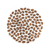 Coffee Bean